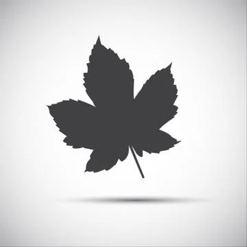 Maple leaf, simple grey vector illustration icon Illustrazione stock