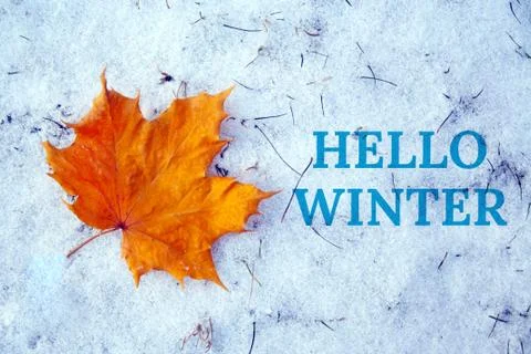 Maple leaf on snow Stock Photos