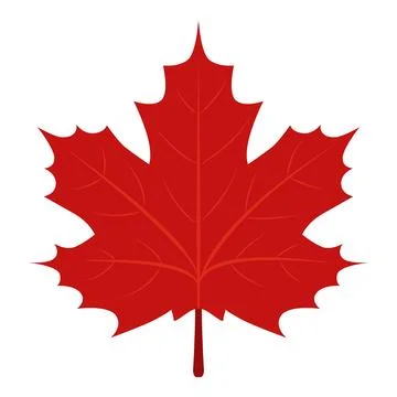 Maple leaf stack icon cartoon vector. Drop product Stock Illustration