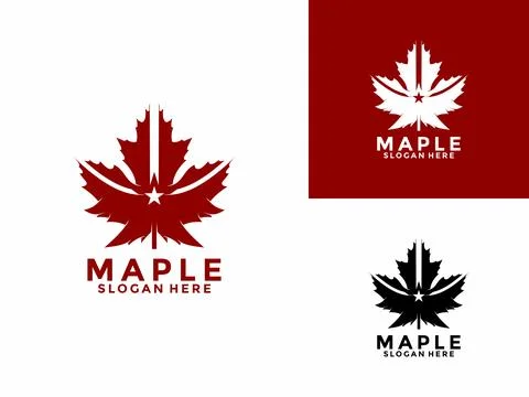 Maple leaf with star logo design vector illustration, Maple Canada Leaves N.. Illustrazione stock