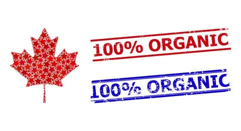 Maple Leaf Star Mosaic and 100 Percents Organic Textured Rubber Stamps イラスト素材