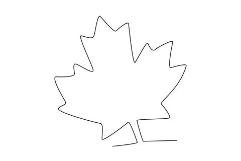 A maple leaf Is a symbol of Canada Stock Illustration