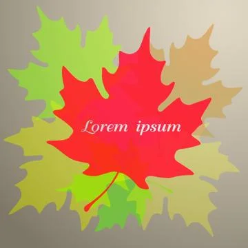 Maple leaf symbol. vector illustration... Stock Illustration