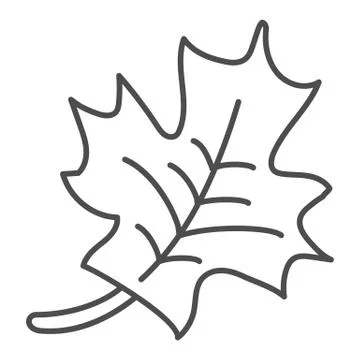 Maple leaf thin line icon. Canadian symbol vector illustration isolated on white Stock Illustration