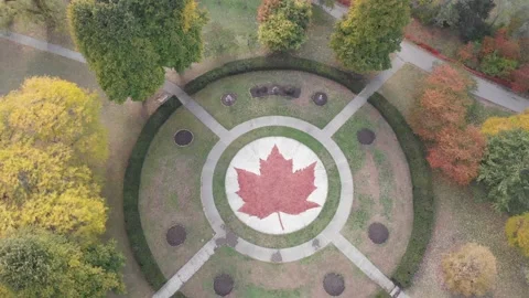Maple leaf in Toronto High Park Stock Footage 146617509