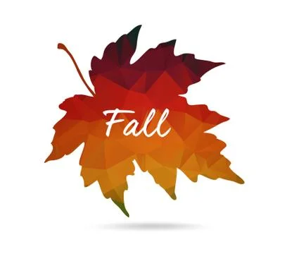 Maple leaf in triangular style with hand drawn Stock Illustration