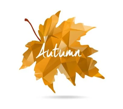 Maple leaf in triangular style with hand drawn Stock Illustration