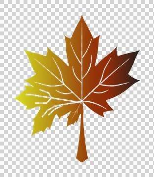 Maple leaf vector art, maple leaf design Stock Illustration