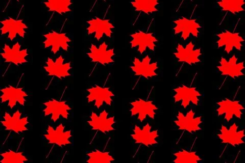 Maple leaf - vector background 库存插图