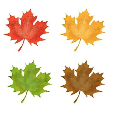 Maple leaf vector collection Stock Illustration