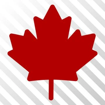 Maple Leaf Vector EPS Icon 库存插图