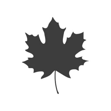 Maple leaf vector icon design. Vector illustration. Stockillustratie