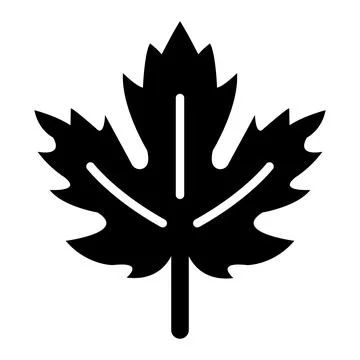 Maple leaf Vector Icon Design Illustration Stock Illustration