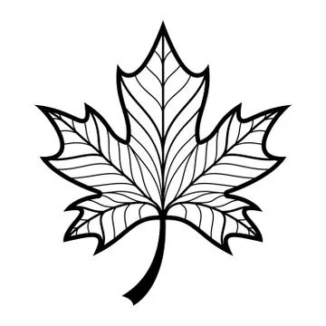 Maple Leaf Vector Icon Stock Illustration