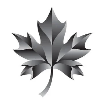 Maple Leaf Vector Icon Stock Illustration