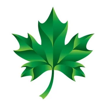 Maple Leaf Vector Icon Stock Illustration