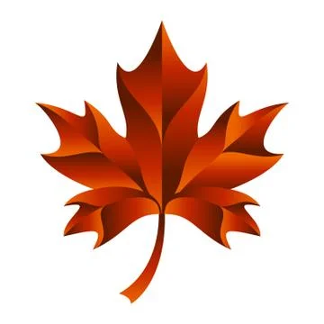 Maple Leaf Vector Icon Stock Illustration