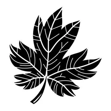 Maple Leaf Vector Icon Stock Illustration