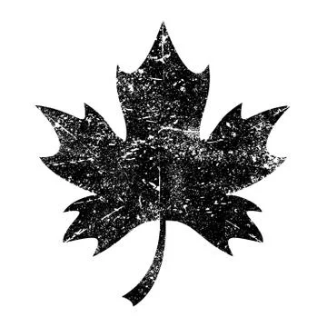Maple Leaf Vector Icon Stock Illustration