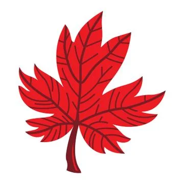Maple Leaf Vector Icon Stock Illustration