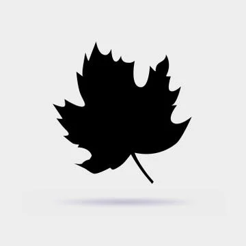 Maple leaf vector icon isolated on gray background. Stockillustratie