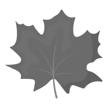 Maple Leaf vector icon in monochrome style for web 库存插图