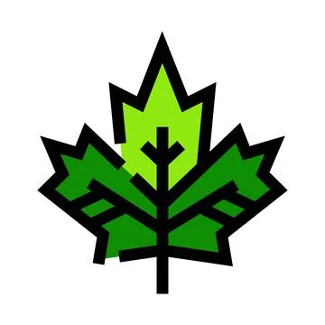 Maple leaf vector icon representing canada national symbol Stock Illustration