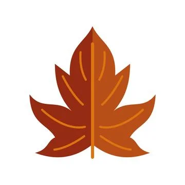Maple leaf vector icon representing autumn season foliage 스톡 일러스트