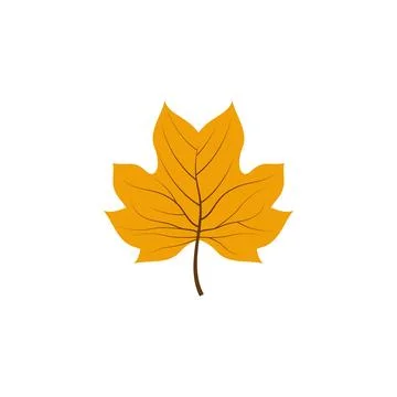 Maple leaf vector illustration design template Illustrazione stock