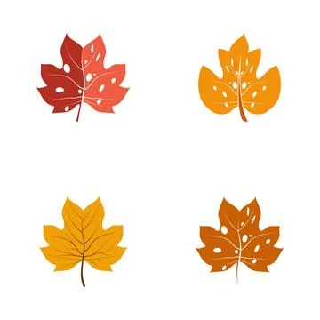 Maple leaf vector illustration design template 库存插图