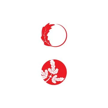 Maple leaf vector illustration design Illustrazione stock