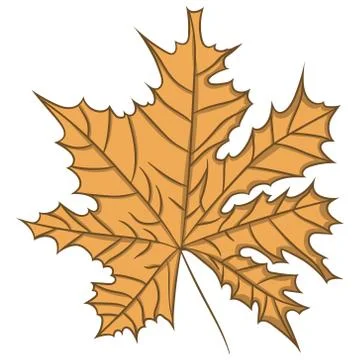 Maple Leaf. vector illustration. Drawing by hand. Illustrazione stock