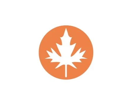 Maple leaf vector illustration Stockillustratie