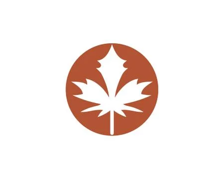 Maple leaf vector illustration Stock Illustration