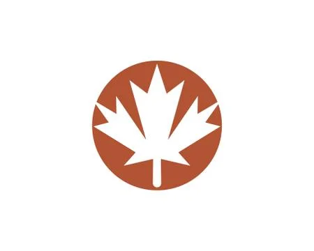 Maple leaf vector illustration イラスト素材