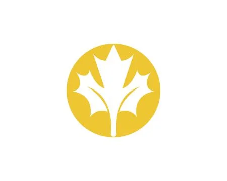 Maple leaf vector illustration Stockillustratie