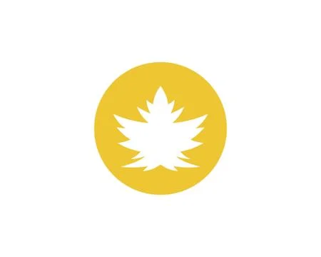 Maple leaf vector illustration イラスト素材