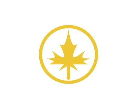 Maple leaf vector illustration イラスト素材