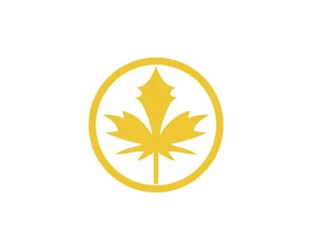Maple leaf vector illustration Illustrazione stock