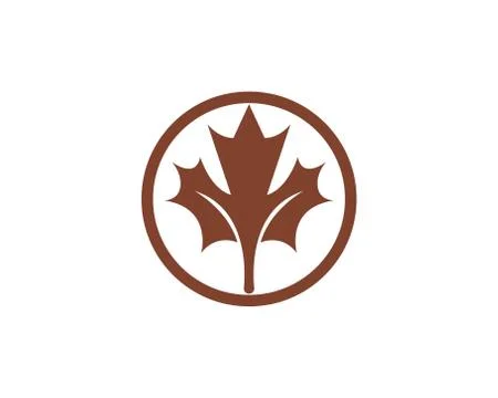 Maple leaf vector illustration イラスト素材