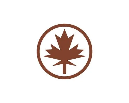 Maple leaf vector illustration 스톡 일러스트