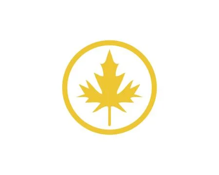 Maple leaf vector illustration Stockillustratie