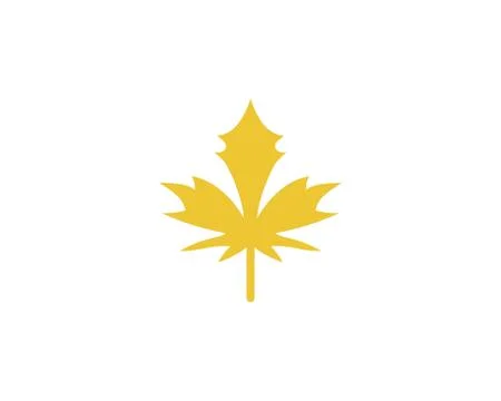 Maple leaf vector illustration イラスト素材