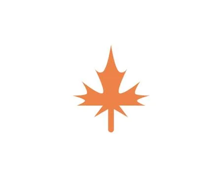 Maple leaf vector illustration 스톡 일러스트