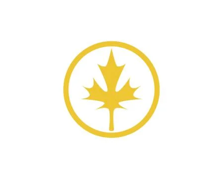 Maple leaf vector illustration Stock Illustration