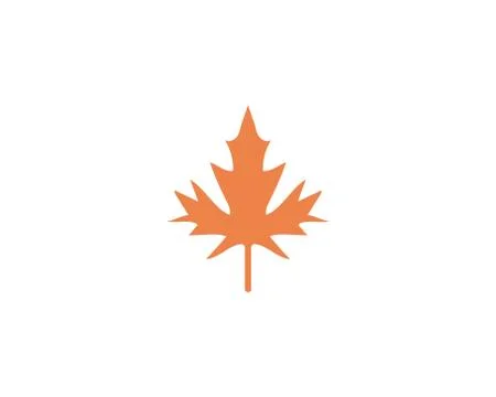 Maple leaf vector illustration イラスト素材
