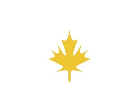 Maple leaf vector illustration イラスト素材
