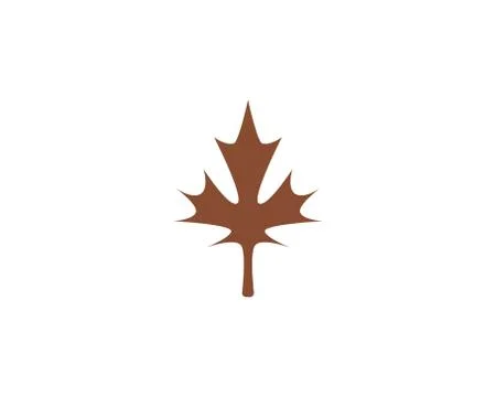 Maple leaf vector illustration イラスト素材