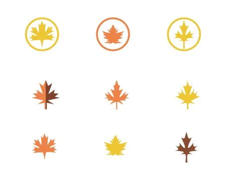 Maple leaf vector illustration Illustrazione stock