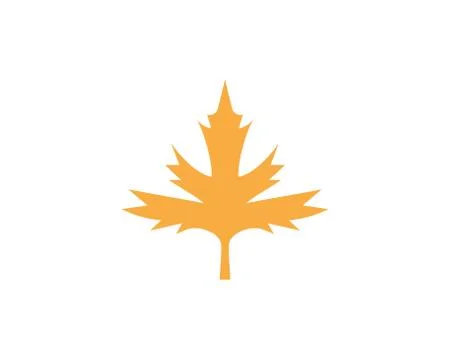 Maple leaf vector illustration イラスト素材